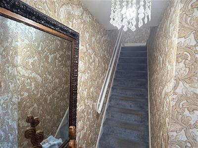 Picture 11